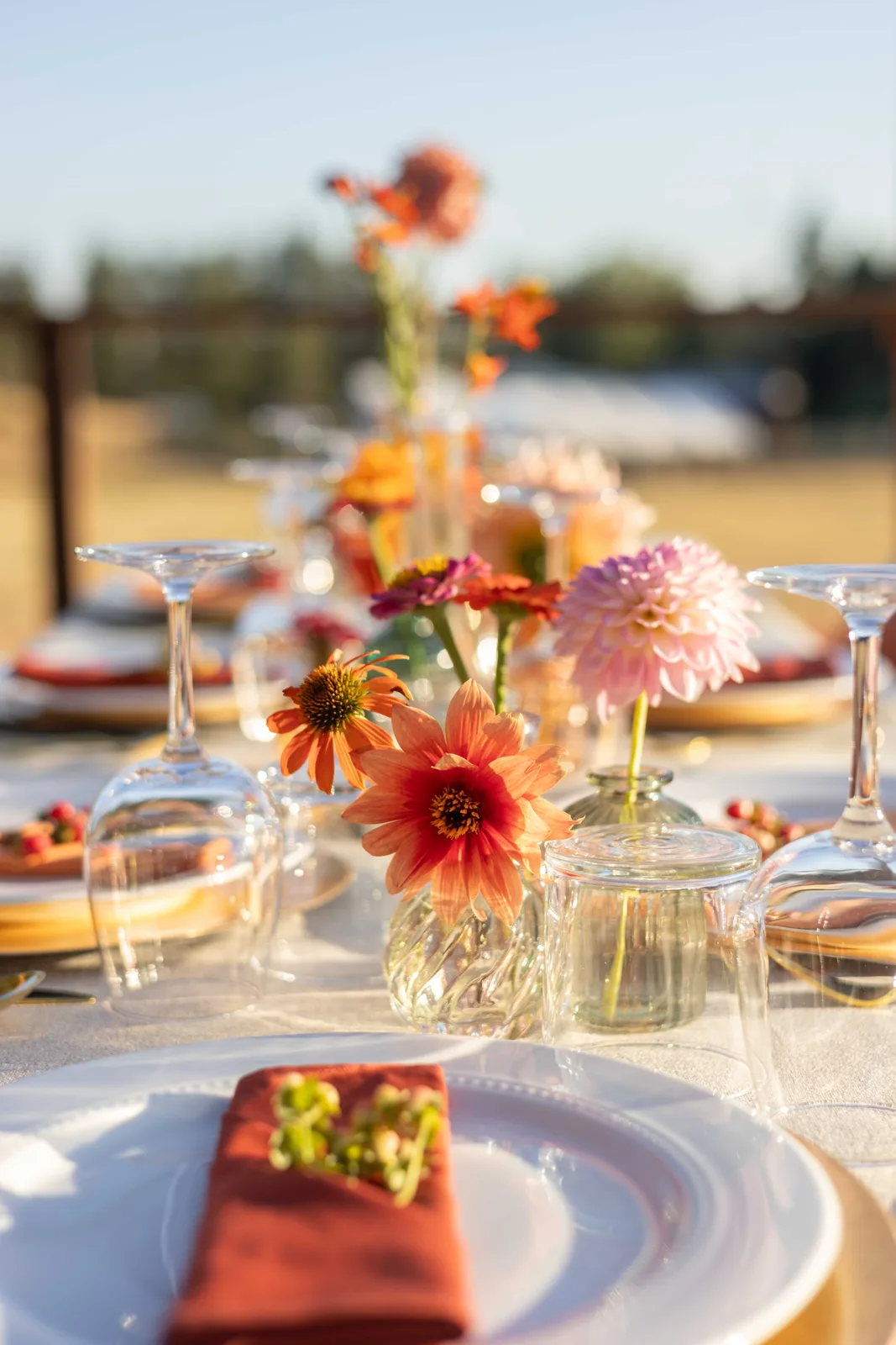 Dahlia and coneflower centerpieces in glass bud vases
